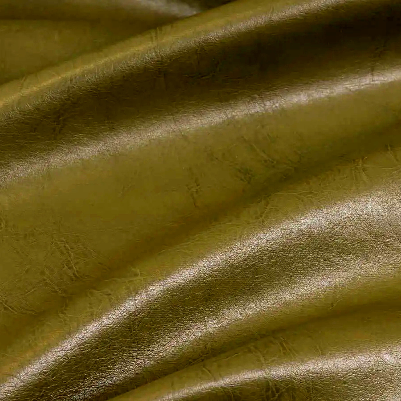 Пегас олива