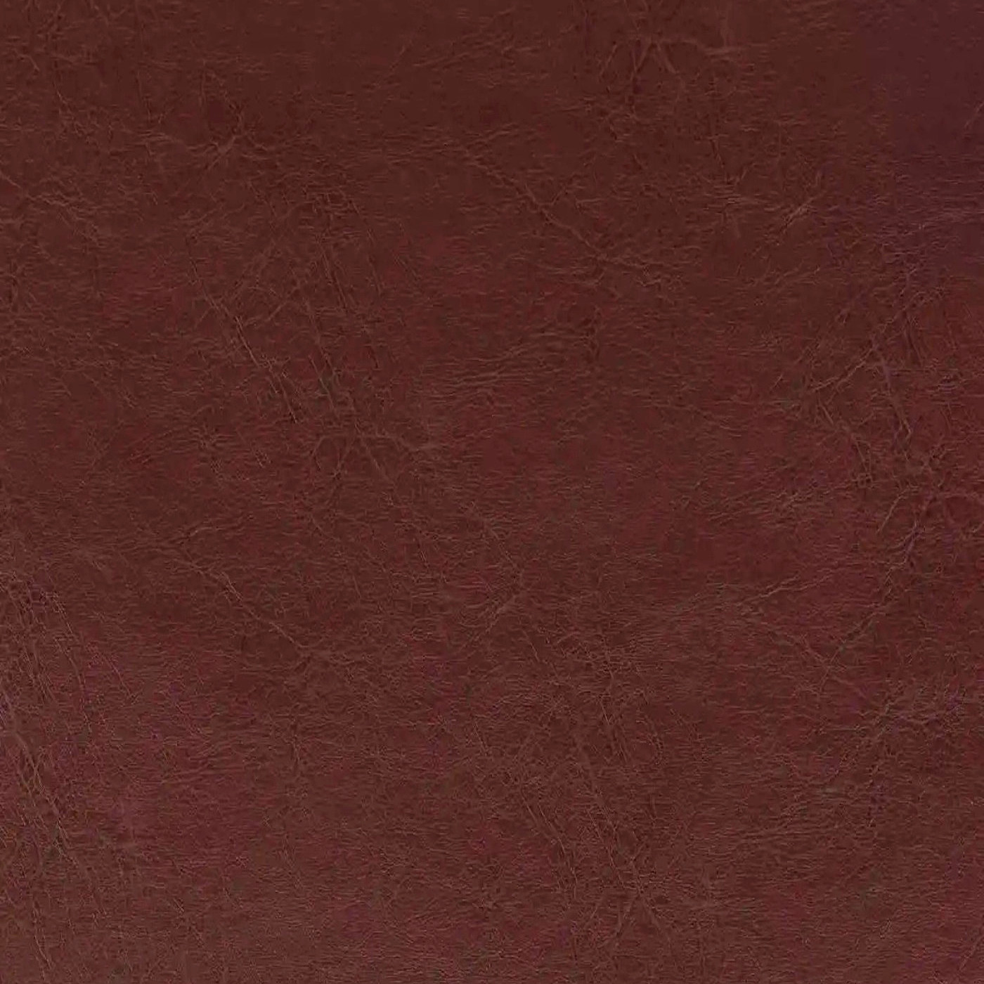 Пегас лилак