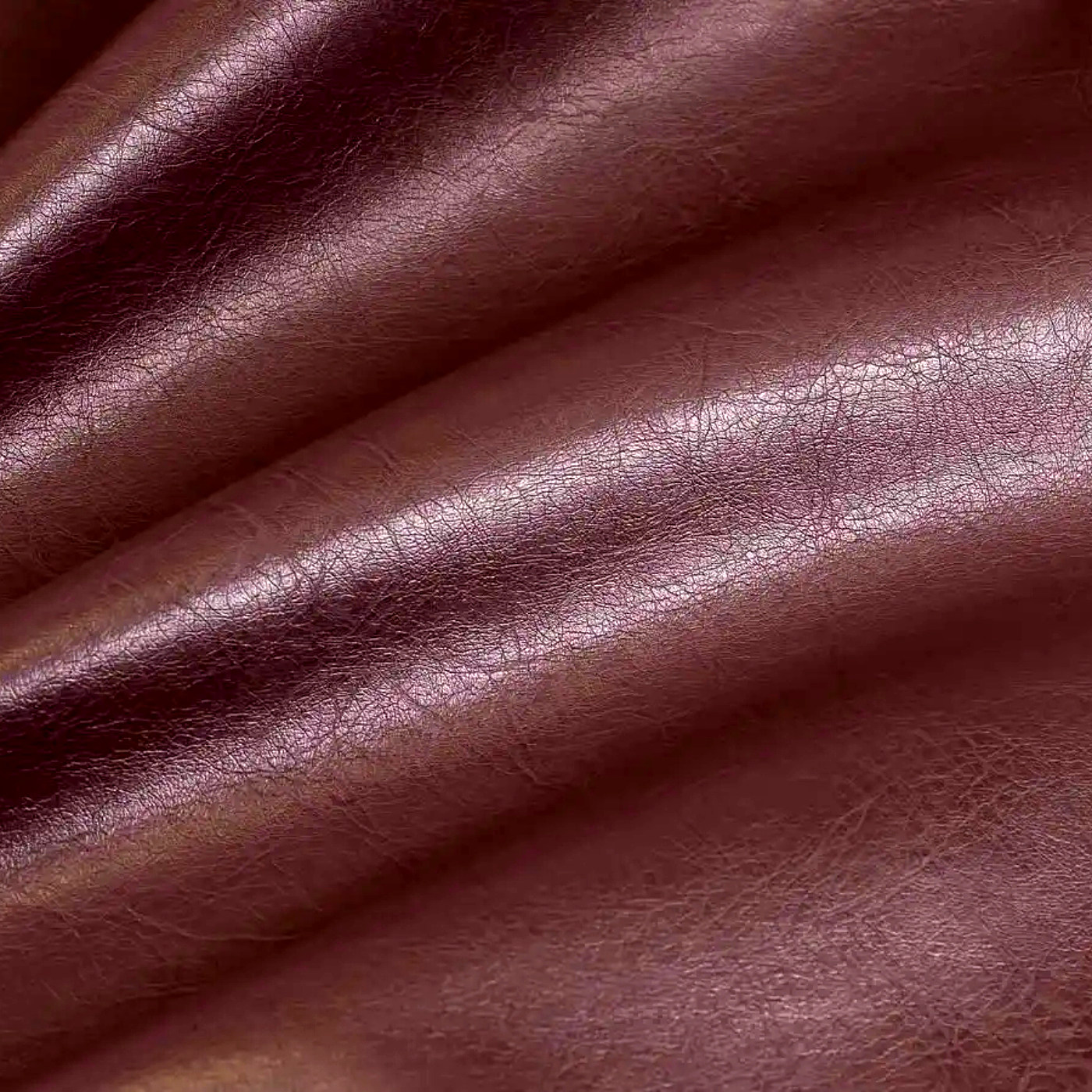 Пегас лилак