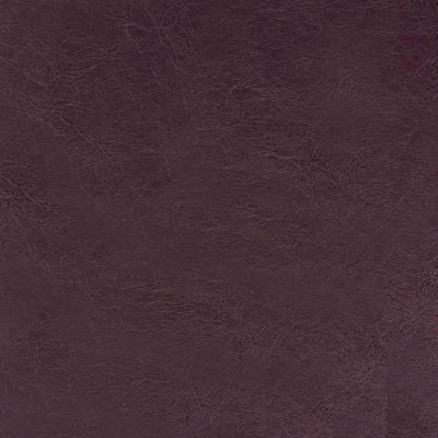 Пегас фиалка