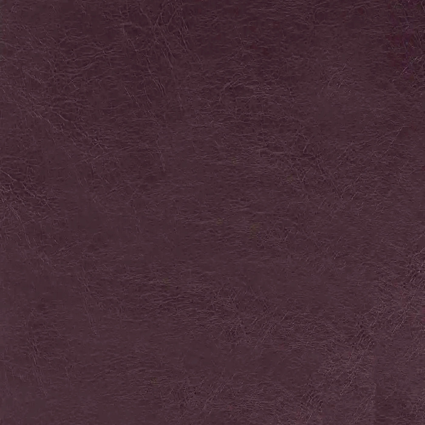 Пегас фиалка