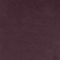 Пегас фиалка