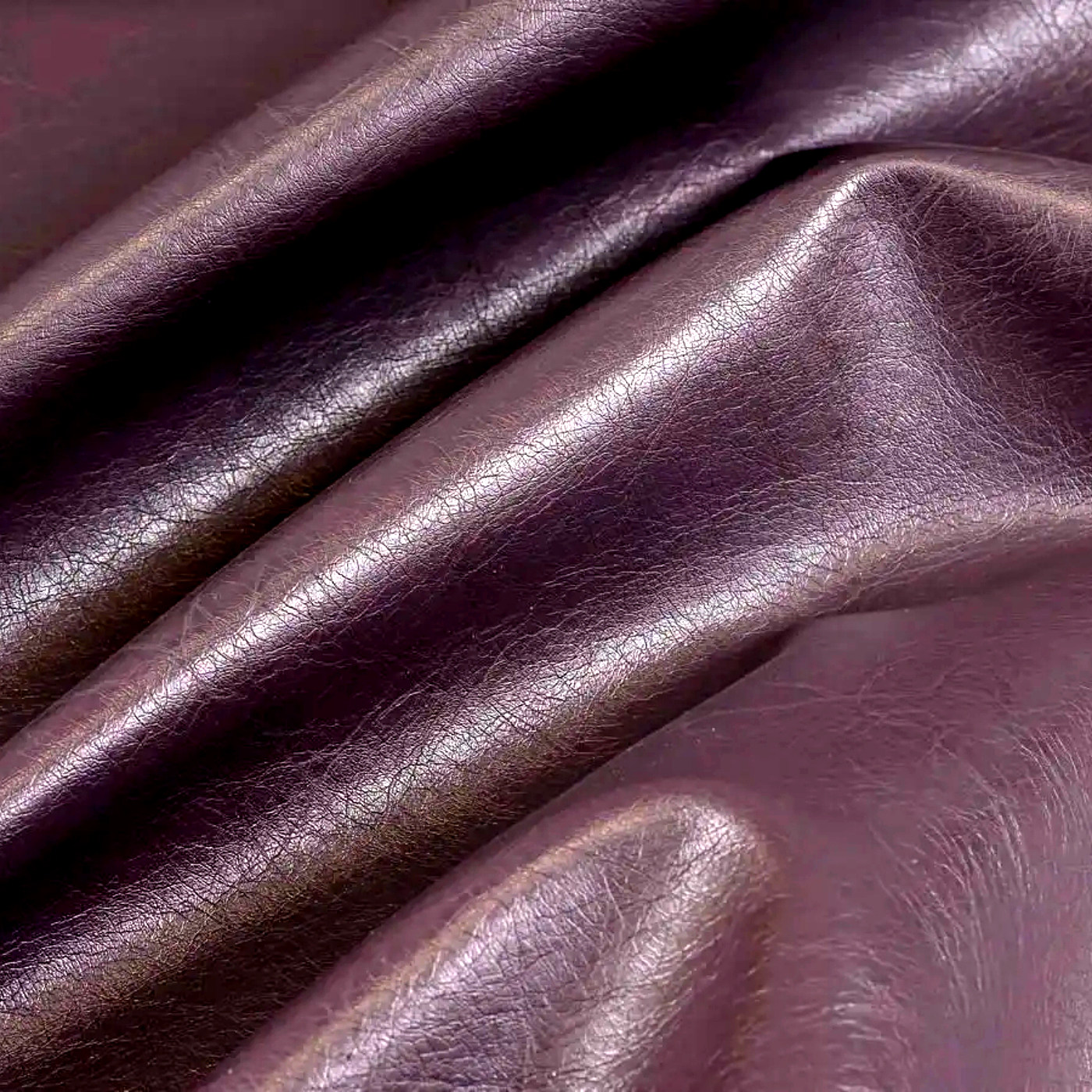 Пегас фиалка