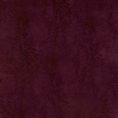 Пегас виолет