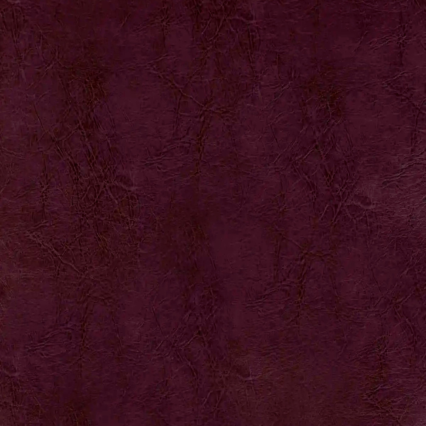 Пегас виолет