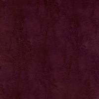 Пегас виолет