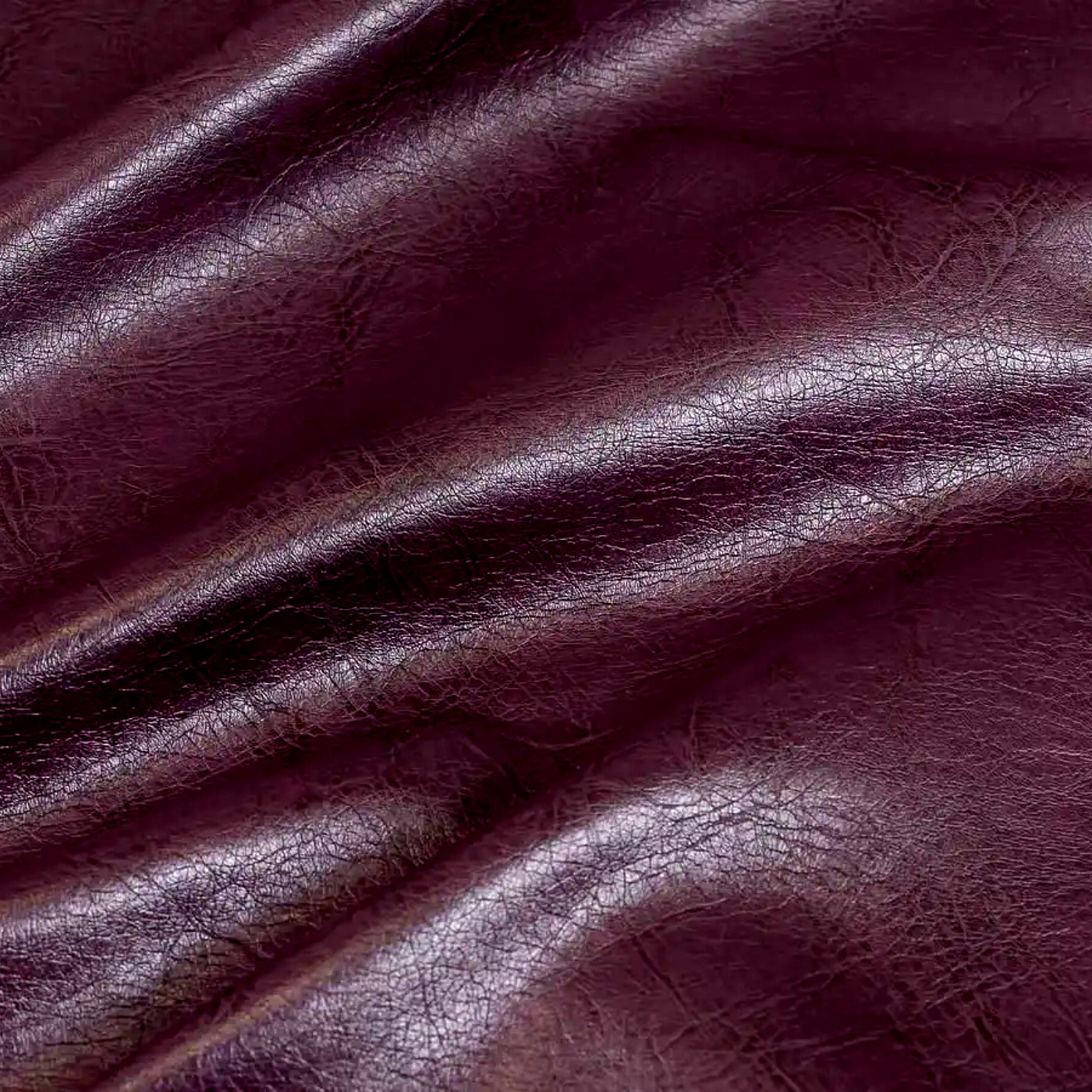 Пегас виолет