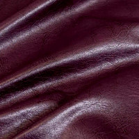 Пегас виолет