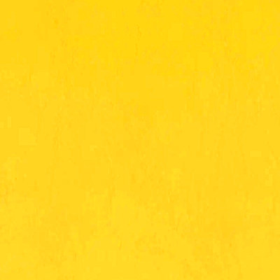 Пегас санни