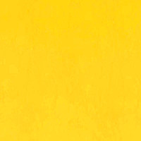 Пегас санни