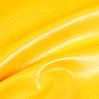 Пегас санни