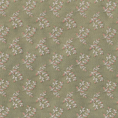 Даира ком нефрит