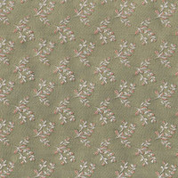 Даира ком нефрит