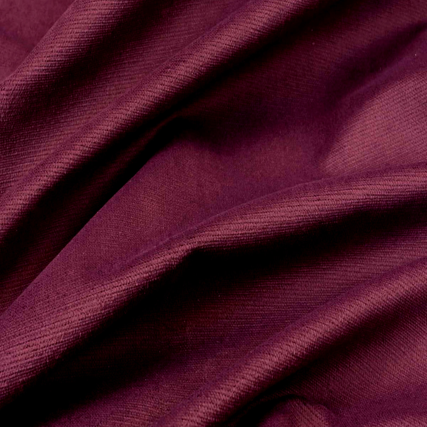 Аспендос лилак