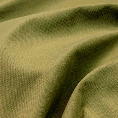 Аспендос олив