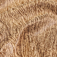 Арбореал беж