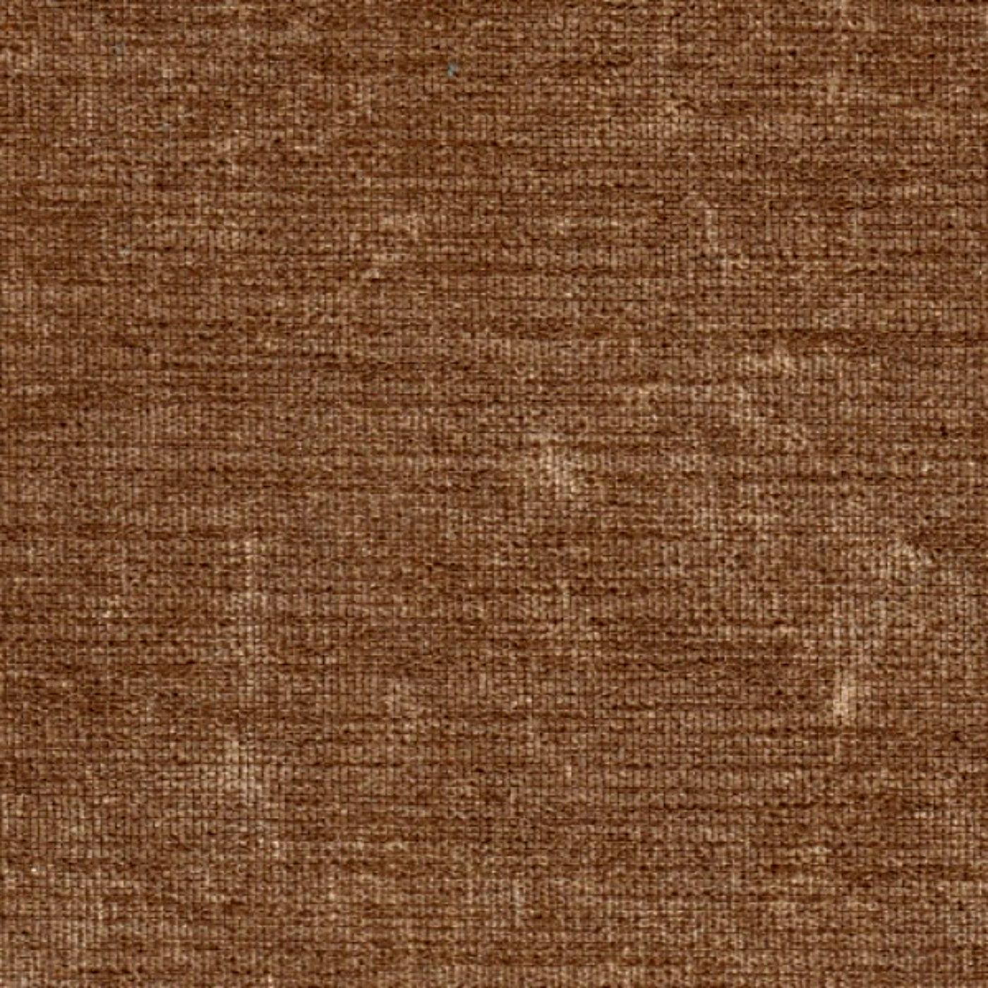 Мамбо кэмел