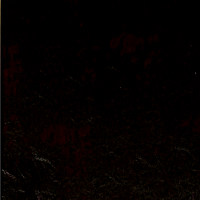 Кинг дарк браун