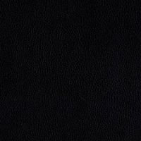 Лира эко блек