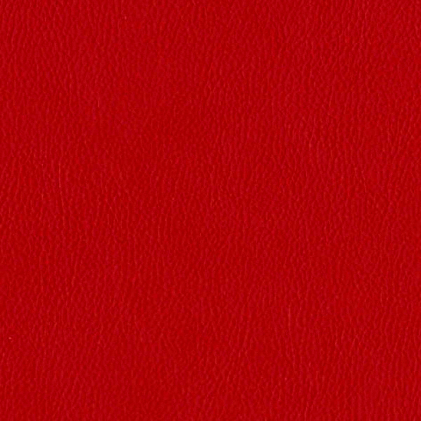 Лира эко ред