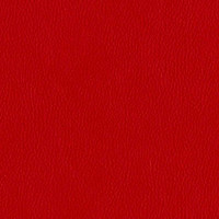 Лира эко ред