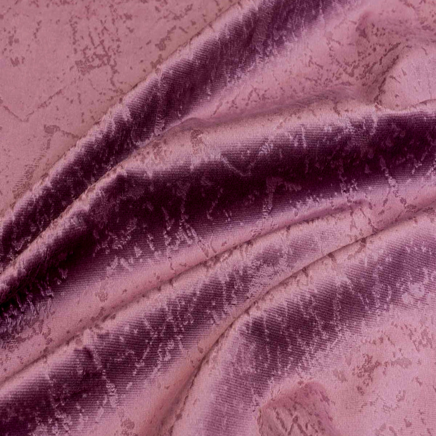 Прайд лилак