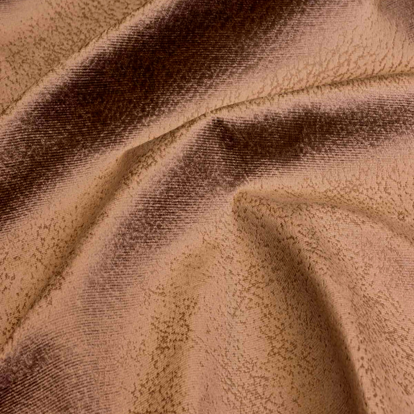 Плаза кэмел