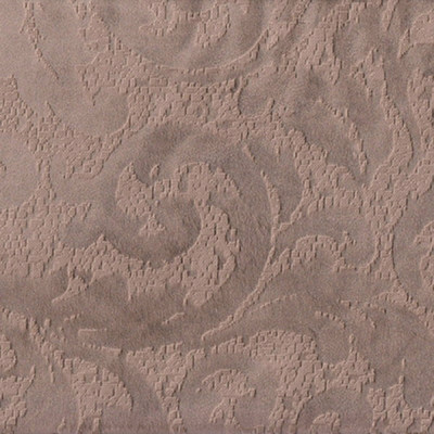 Магма кэмел