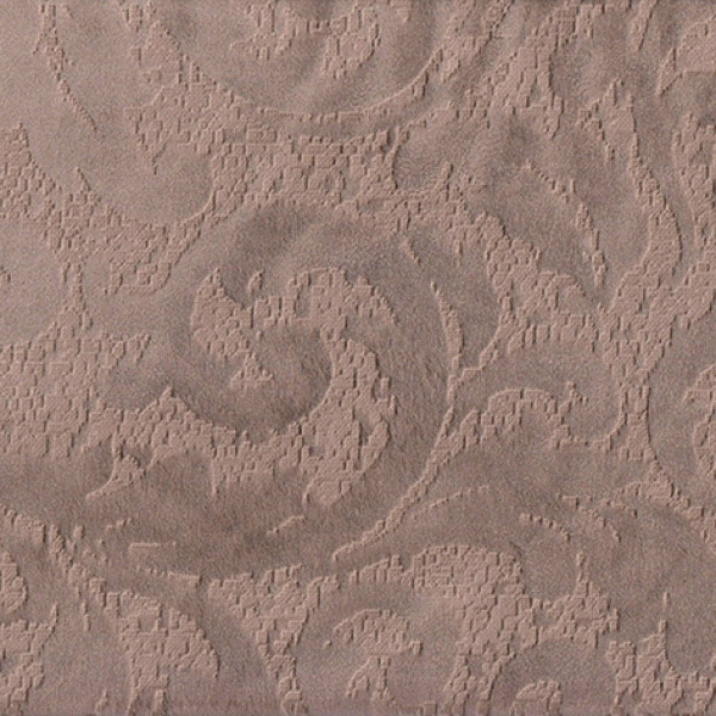 Магма кэмел