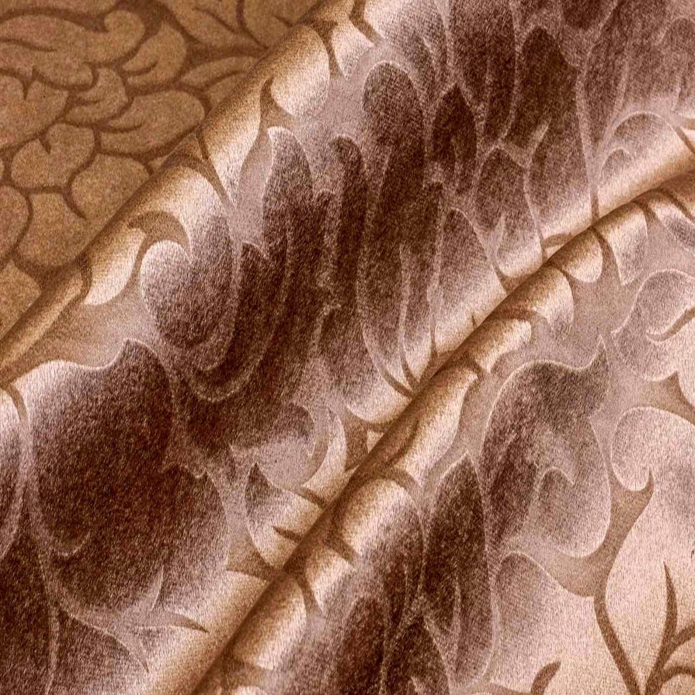 Симфони корица