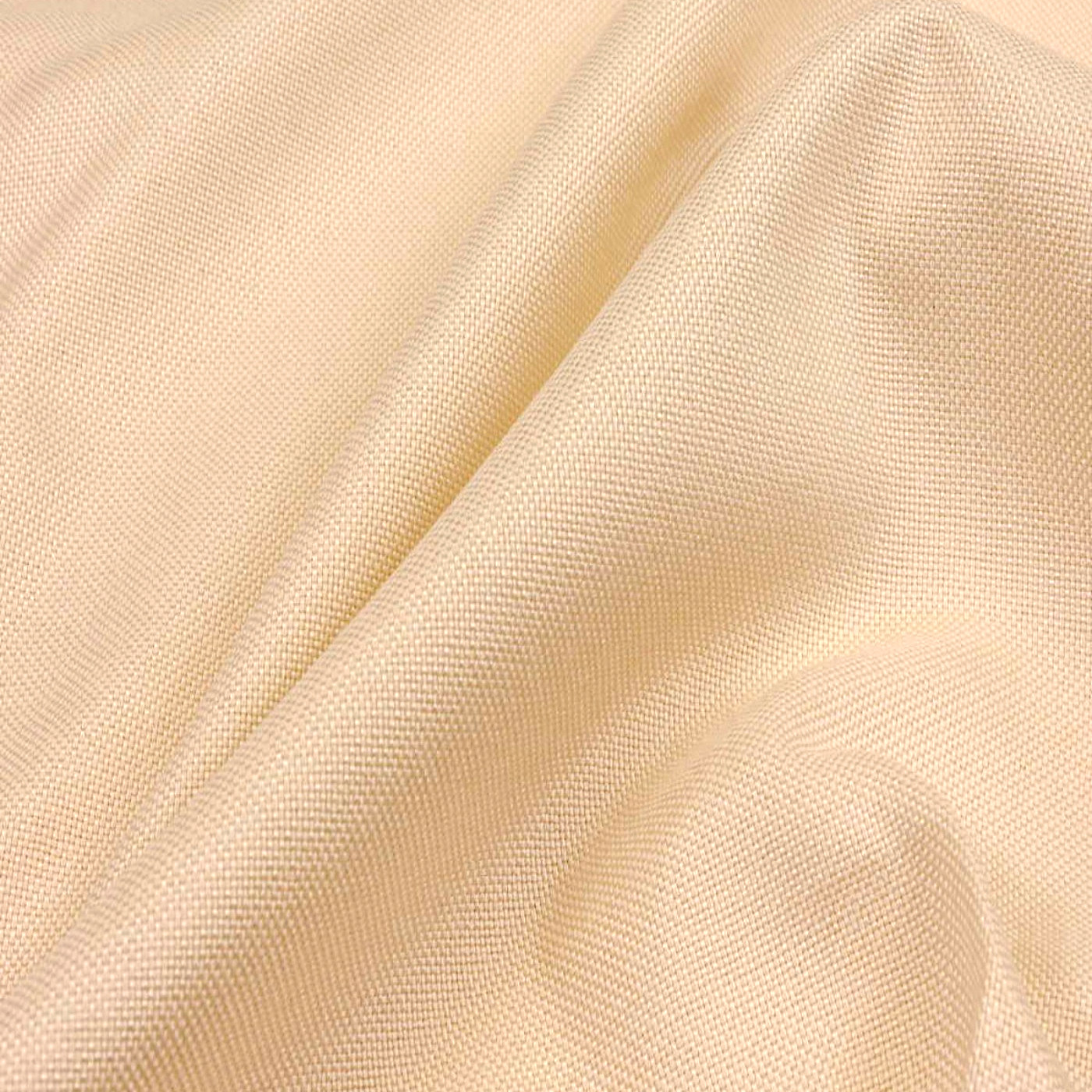 Рола шампань