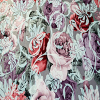 Аманда грэй перпл