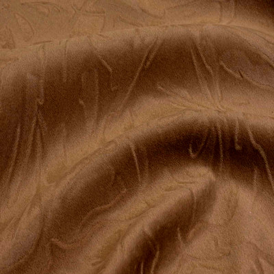 Фокус мокко