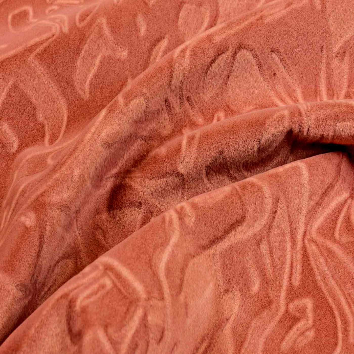 Фокус берри