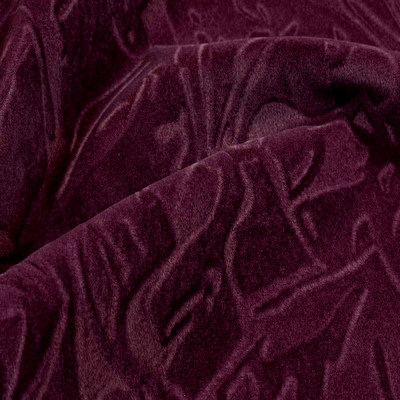 Фокус виолет