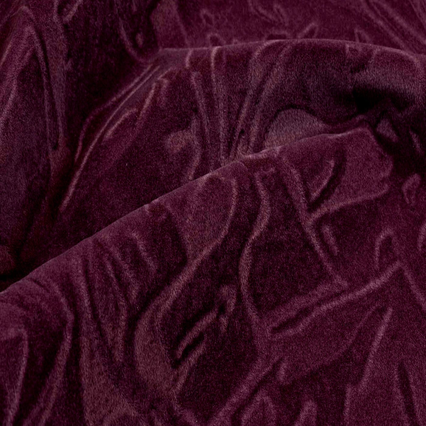 Фокус виолет