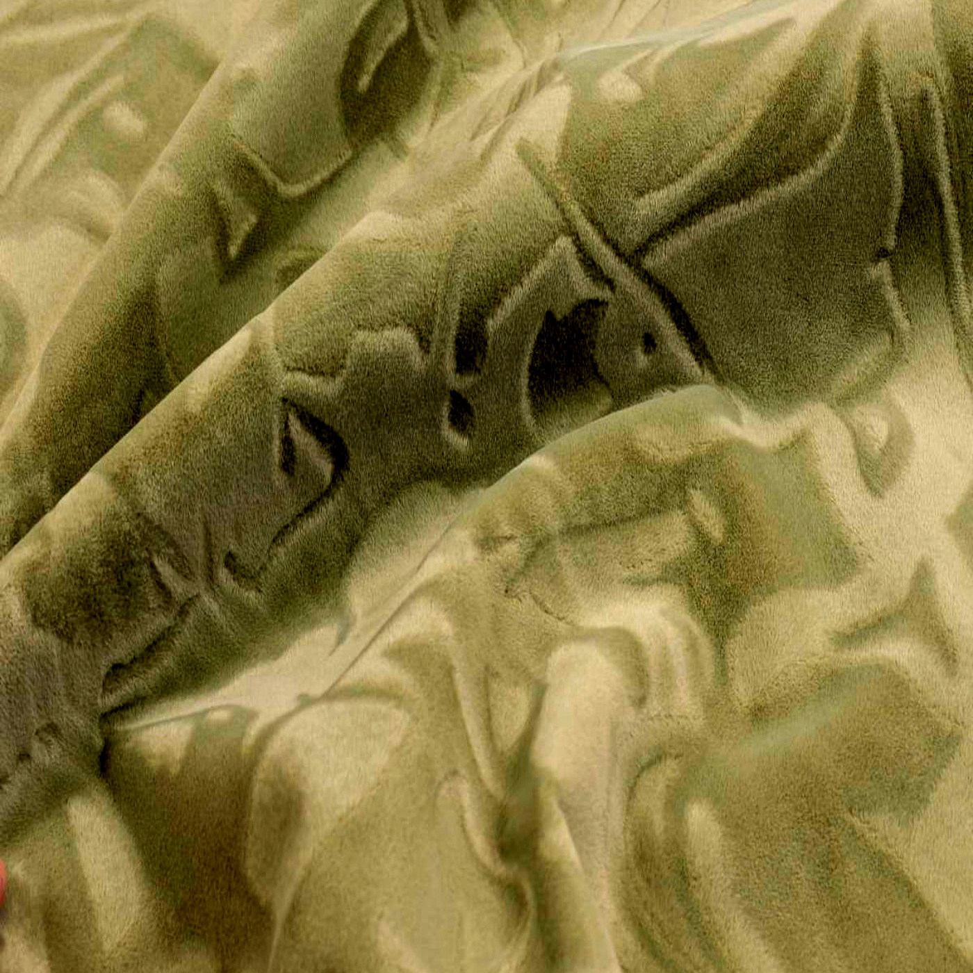 Фокус олива