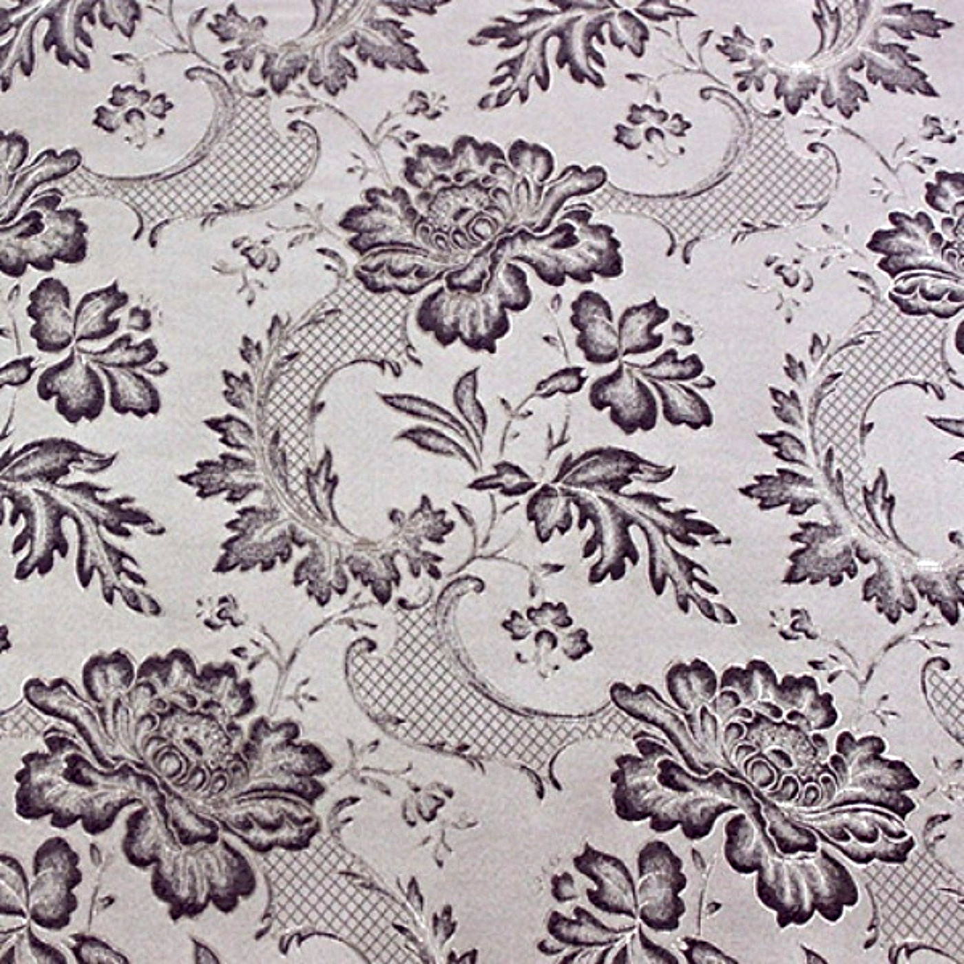 Силва лилак