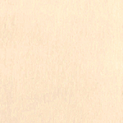 Виторио кэмел