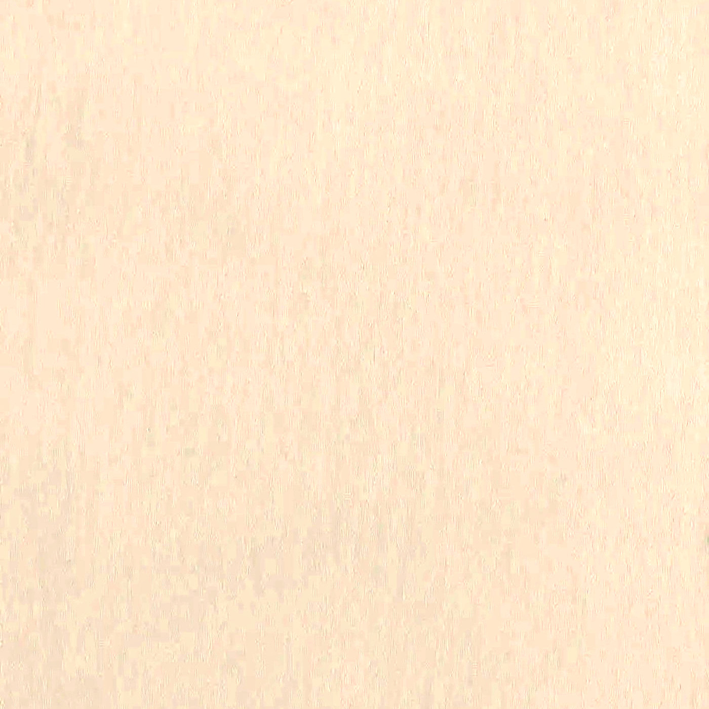 Виторио кэмел