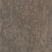 Виторио стоун