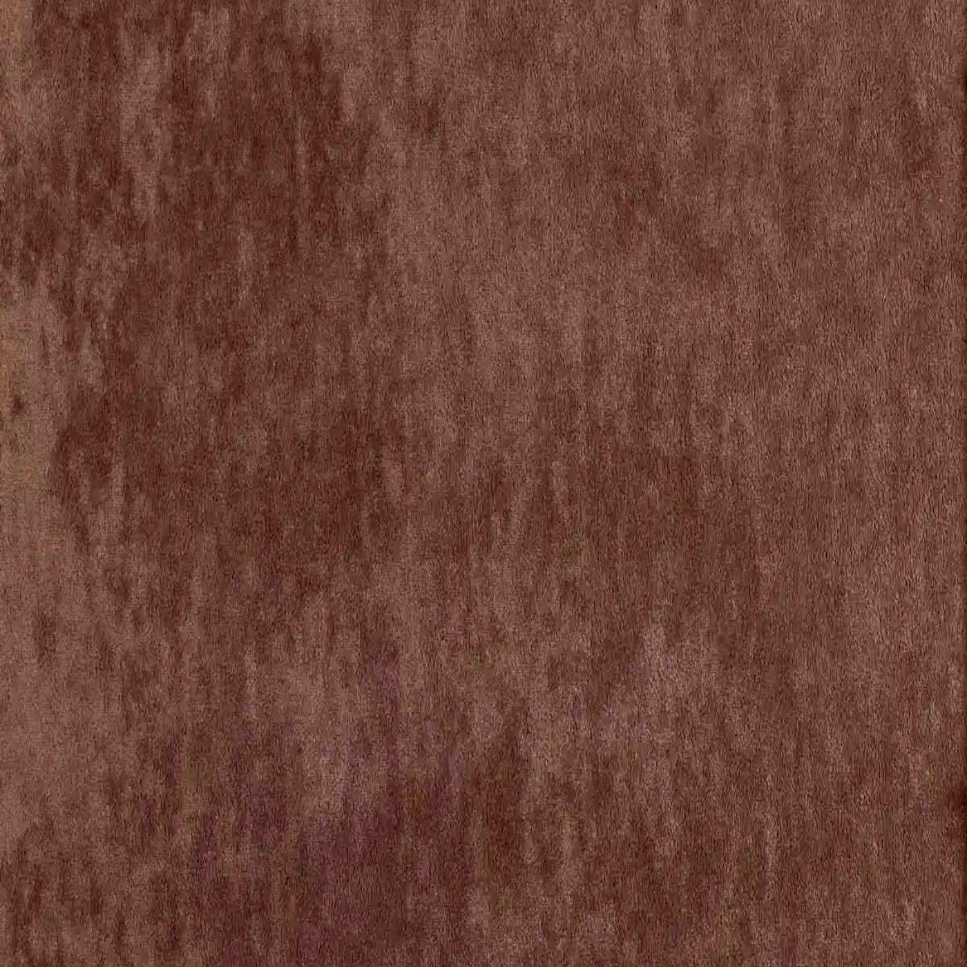 Виторио корица