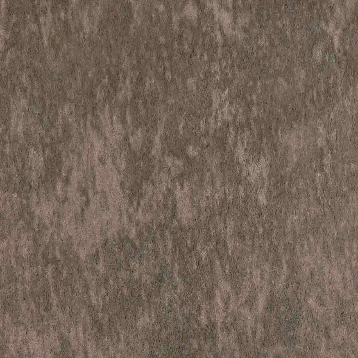 Виторио грей