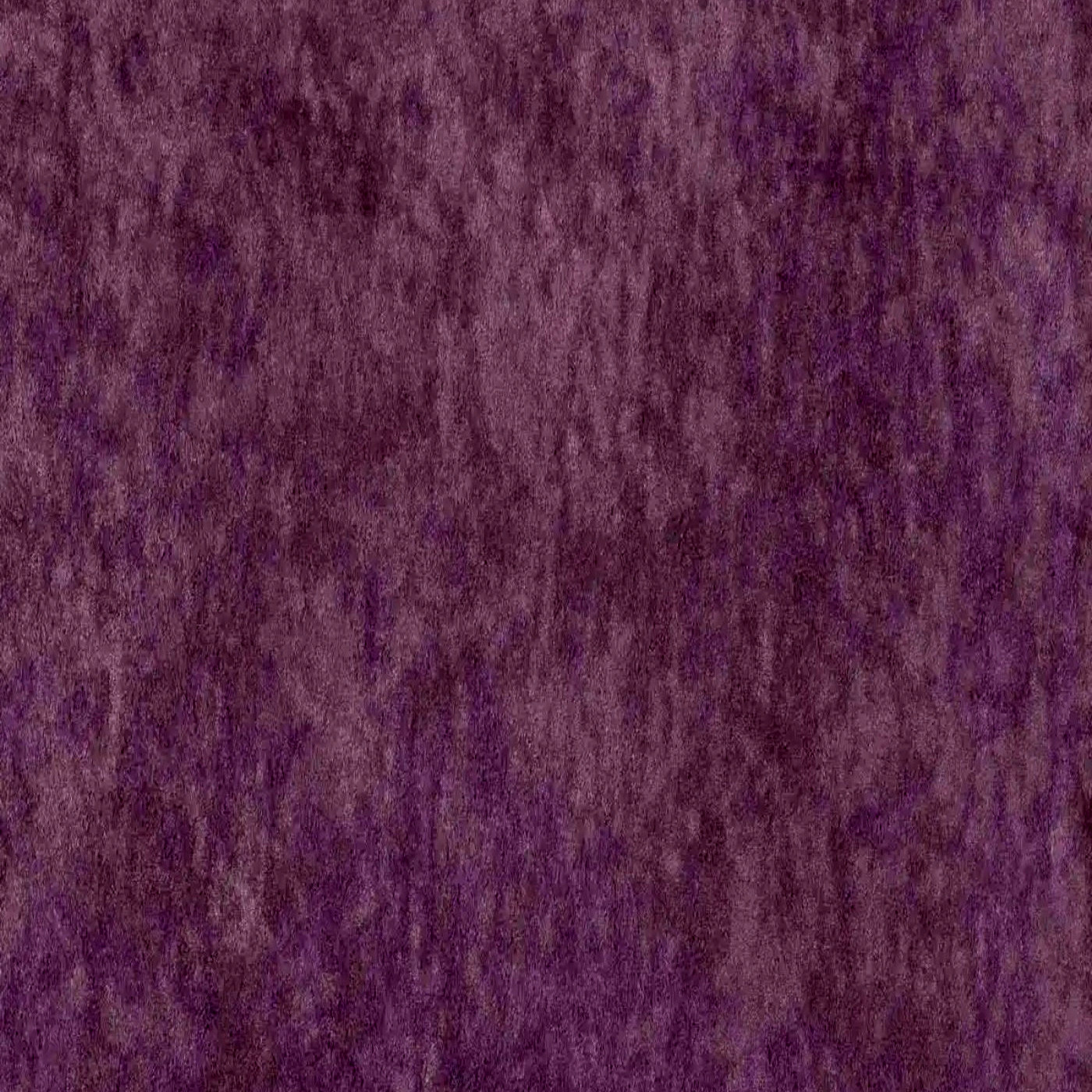 Виторио виолет