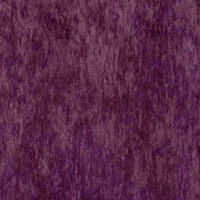 Виторио виолет