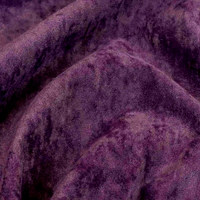 Виторио виолет