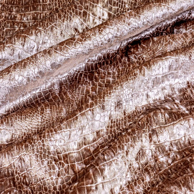 Рептил роуз