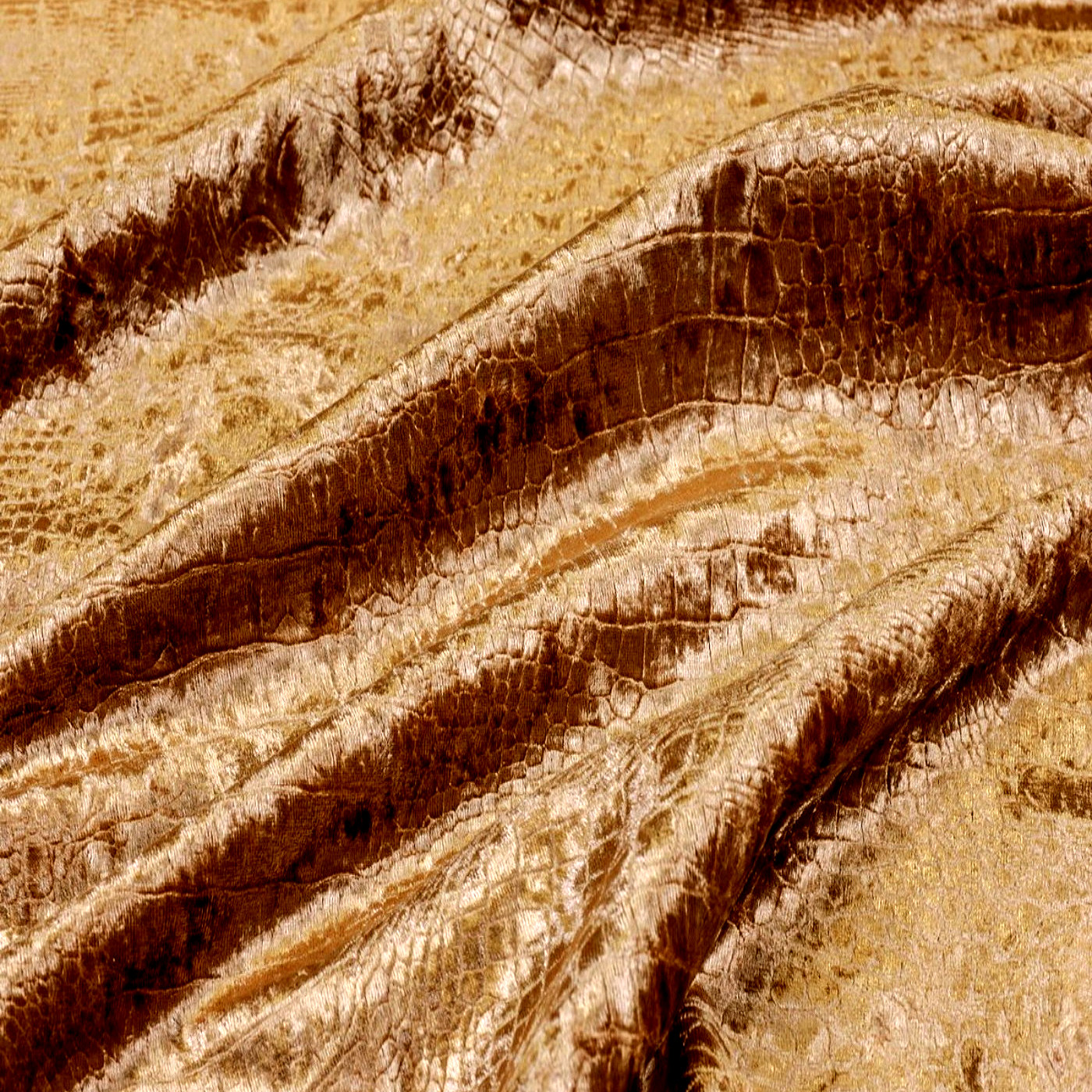 Рептил корица_выведена из рабочей коллекции в 2019г.