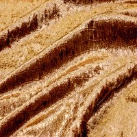 Рептил корица_выведена из рабочей коллекции в 2019г.