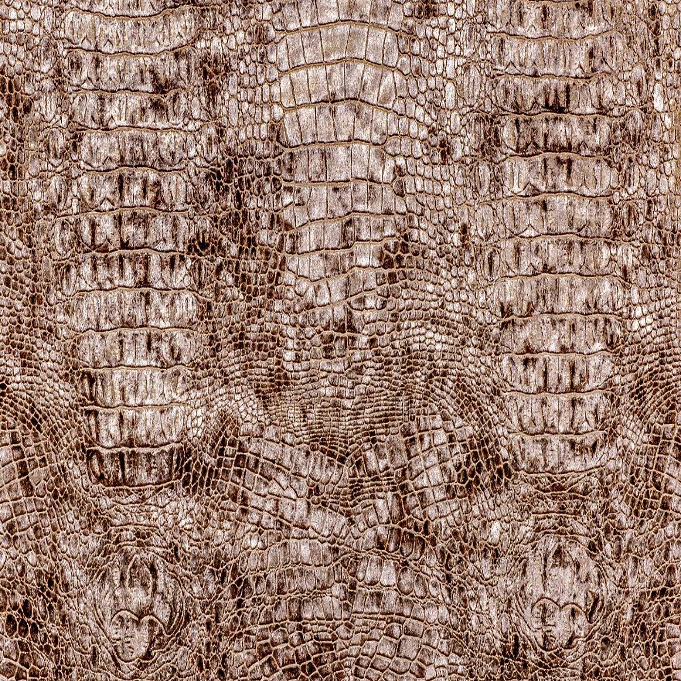 Рептил пэйл браун